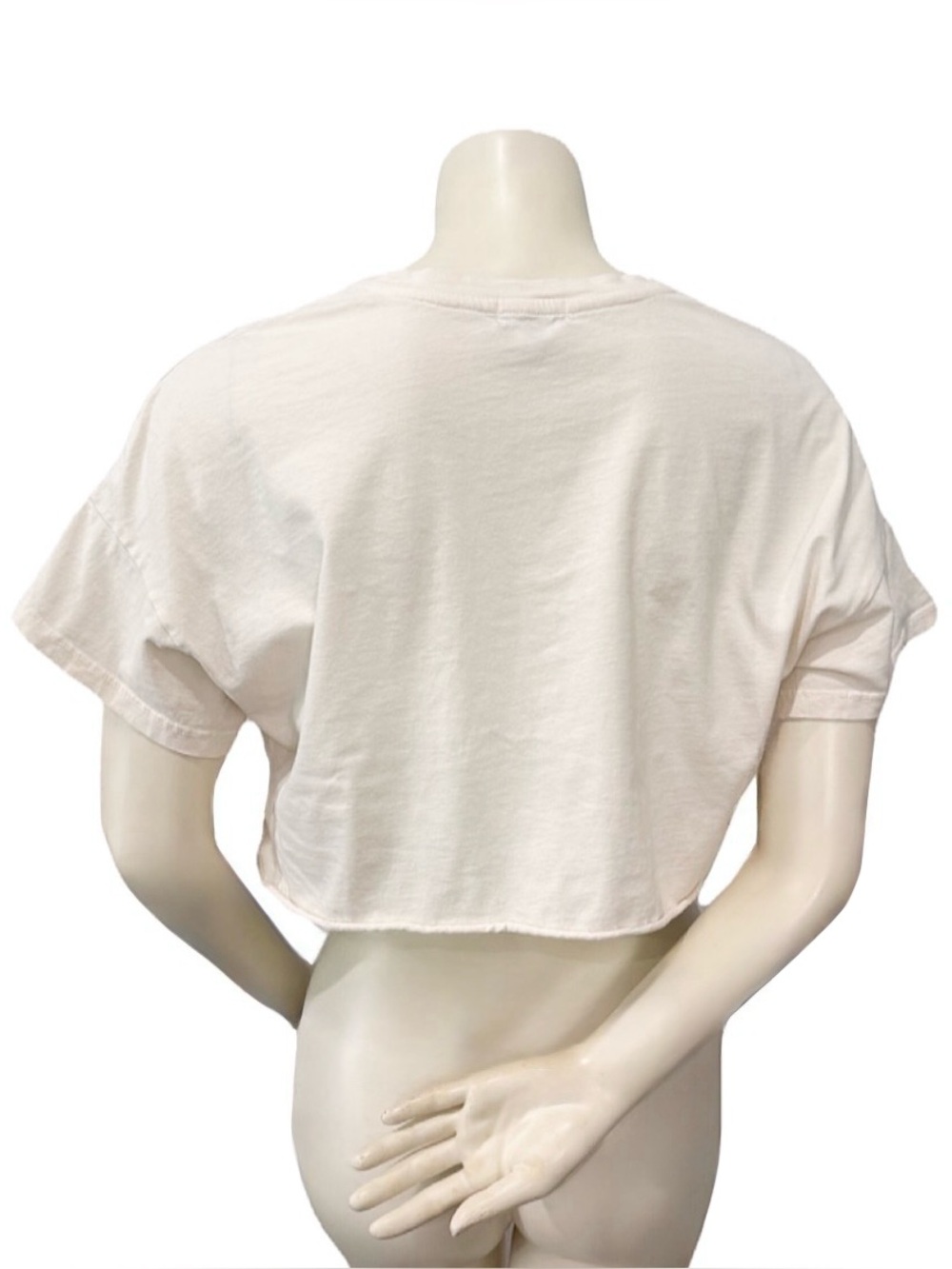 Free Dreamer All American Tour Cropped Graphic Tee Eagle USA Cotton M - Picture 2 of 7